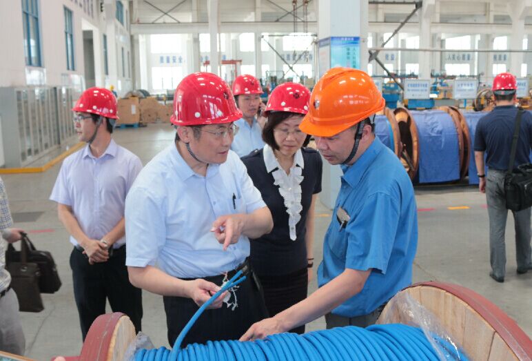 2016年7月22日，瀘州市委常委、副市長(zhǎng)王建翔一行來(lái)上上電纜參觀考察