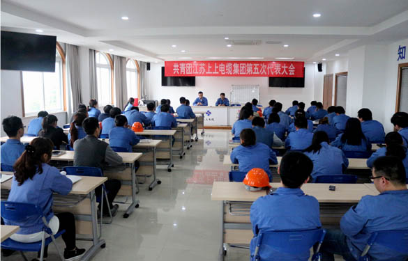 2016年4月20日，共青團(tuán)江蘇上上電纜集團(tuán)第五次代表大會(huì)召開(kāi)