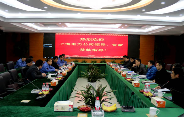 上海電力公司、上纜所領(lǐng)導(dǎo)、專家一行來上上電纜交流考察