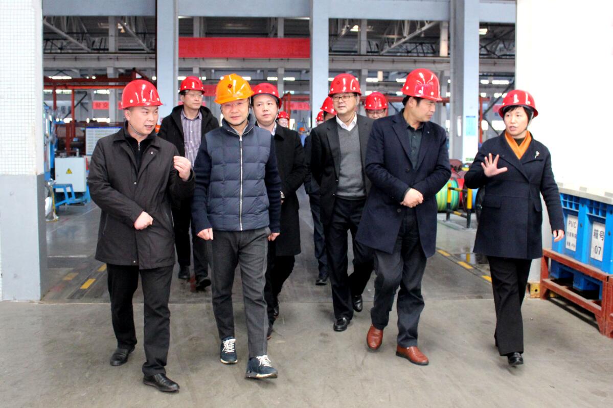 2019年3月7日，廣安市岳池縣考察團來上上電纜參觀考察