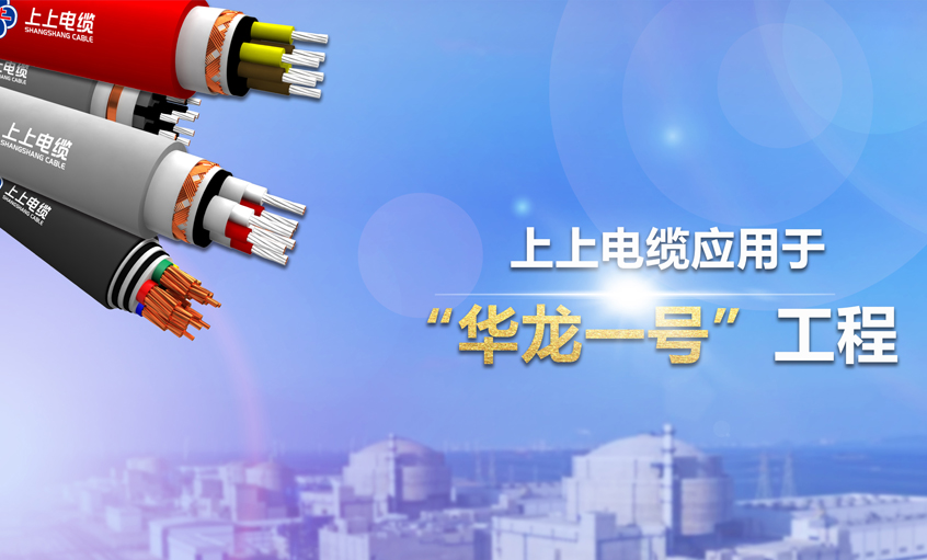 上上電纜榮獲2023年度中國電工技術(shù)學(xué)會(huì)“科技進(jìn)步獎(jiǎng)二等獎(jiǎng)”